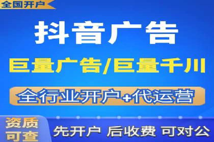网络推广与竞价广告：双管齐下的策略案例